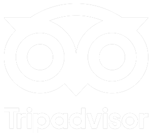 Trip Advisor